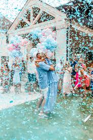 The Cheeky Been Our Gender Reveal Party Ideas Supplies Decor