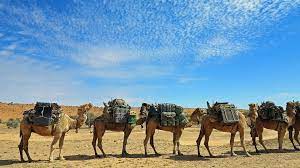 Use custom templates to tell the right story for your business. 7 Things I Learned Walking Across Australia S Simpson Desert Adventure Com