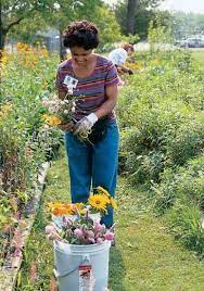 Growing cut flowers for profit. Grow Flowers For Profit Organic Gardening Mother Earth News