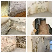 Diese sind zahlreich im internet zu finden. Der Hausdoktor Ihr Fachmann Fur Feuchte Wande Nasse Keller Horizontalsperre Gegen Aufsteigende Feuchtigkeit Und Allen Anderen Haussanierungen