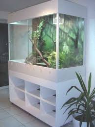 Reptile Enclosure Diy Amphibians Reptile Enclosure Bearded Dragon Terrarium Reptile Terrarium