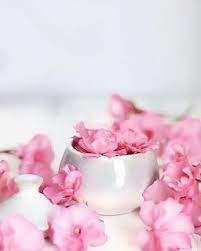 17 قبر تم العثور عليه مع قطع ثمينة جدا في داخلهم ؛ يفترض أن هذه كانت مقابر ملكية. Ø§Ø¬Ù…Ù„ Ø®Ù„ÙÙŠØ§Øª Ù„Ù„ÙƒØªØ§Ø¨Ø© Ø¹Ù„ÙŠÙ‡Ø§ Ø®Ù„ÙÙŠØ§Øª Ø±ÙˆØ¹Ø© Ø¬Ø§Ù‡Ø²Ø© Ù„Ù„ÙƒØªØ§Ø¨Ø© Ø¹Ù„ÙŠÙ‡Ø§ Ø£Ø­Ù„Ù‰ ØµÙˆØ± Ø®Ù„ÙÙŠØ§Øª ÙˆØ±ÙˆØ¯ Ù„Ù„ÙƒØª Flower Background Wallpaper Print Design Art Aesthetic Iphone Wallpaper