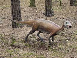 Meet The Small Plant Eating Dinosaurs Of The Mesozoic Era Prehistoric Animals Dinosaur Dinosaur Pictures