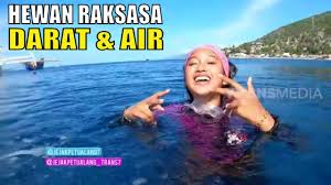 Trans7 went on to become one of the most popular television channel with iconic programs that are loved by the wide segment audiences. Trans7 Official Youtube Channel Analytics And Report Powered By Noxinfluencer Mobile