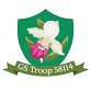 GS Troop 58114 Meeting event image