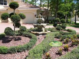 Summer lush tree twig on white sand ground. Buxus Topiary Pom Poms Houzz