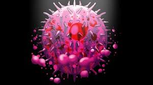 Pendapat yang sama juga diutarakan dokter spesialis jantung dan pembuluh darah sony hilal. Ya Ampun Ada Tanda Tanda Fase Baru Mutasi Covid 19