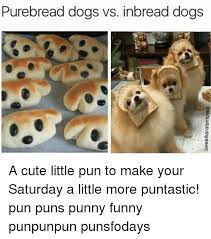 Pin By Angie Gagnon On Titter Ye Not Funny Animal Memes Funny Animal Jokes Funny Dog Memes