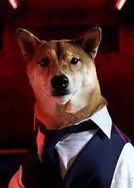 男裝柴犬狗 向犬界潮男學習穿搭吧 汪ᵔᴥᵔ menswear dog japanese dogs dog presents