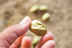We did not find results for: Family Finds Gold Nugget Worth 24 000 While Walking Their Dog