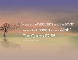 Wisdom is not putting it in a fruit salad. Wisdom Quotes Life Lessons Quran Quranic Quotes Quotes And Verses From The Holy Quran Dogtrainingobedienceschool Com