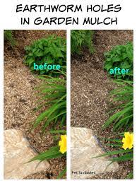 How To Get Rid Of Earthworm Holes In Garden Mulch Garden Mulch Earthworms Mulch