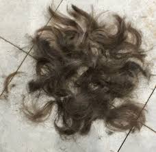 Pin On Hair On Floor
