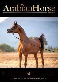 The ottoman empire and the arabian horse. Arabian Horse Magazine N3 2019 By Arabian Horse Magazine Issuu