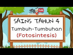 Proses fotosintesis fokus pada klorofil yang membutuhkan cahaya matahari untuk membuat glukosa. Sains Tahun 4 Tumbuh Tumbuhan Fotosintesis Youtube