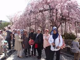 Musim sejuk, bunga dan hujan serta panas boleh ditemui di seluruh dunia tetapi terdapat juga di sesetengah tempat di jepun mengalami secara musim yang sama secara dua kali setahun. Musim Panas Di Jepun Masuki Musim Hujan Titik Panas Di Kepulauan Meranti Cuaca Di Jepun Pada Musim Gugur Erenatok