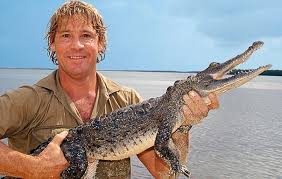 Steve irwin, better known as the crocodile hunter, was an australian zookeeper and animal expert. The Irwin Family Australia Zoo Meet Steve Terri Bindi And Robert Irwin