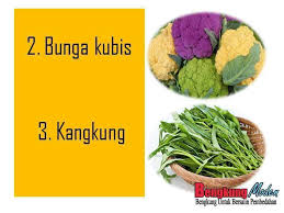 Apa yang membawa penyakit ialah obesiti, tekanan darah tinggi, diabetes, menyedut asap rokok, makanan berproses, makan berlebihan gula, makan berlebihan garam, makan. Sayur Sayuran Yang Perlu Dielakkan Semasa Dalam Pantang 100 Hari Cahaya Hayati