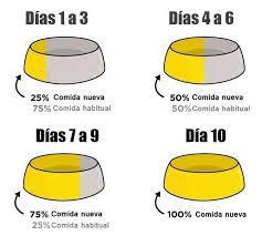 Pin En Yellowblog