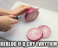 I Cri Evrytiem Know Your Meme