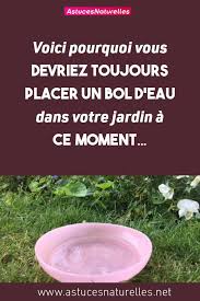 Voici Pourquoi Vous Devriez Toujours Placer Un Bol D Eau Dans Votre Jardin A Ce Moment Astuce Naturelle Bienfaits Placement Bold Eau Jardin