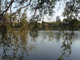 We did not find results for: Londrina Wikiwand