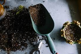 Maybe you would like to learn more about one of these? Want The Best Fiddle Leaf Fig Soil 5 Of The Best That Work