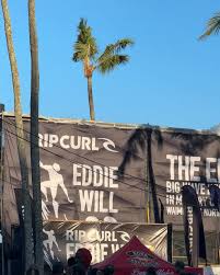 The Eddie files 24'. When the north shore lights up⚡️😍 #theeddie #explore  #surf #waimeabay #hawaii #fyp