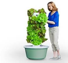 We did not find results for: Does The Tower Garden Really Work Does It Really Work