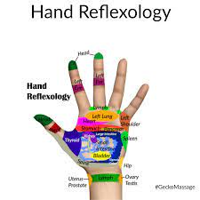 Hand Reflexology Geckomassage Massage Reflexology Handreflexology Canada Massagesupplies Hand Reflexology Reflexology Massage
