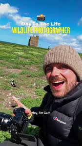 Day In The Life: Wildlife Photographer! 📸✌️ #tiktokforgood #dayinthelife  #wildlifephotography #tiktok_partner #puffins