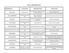 15 Best Cell Structure Images Cell Structure Plant Cell