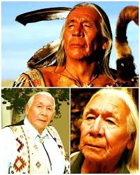 Floyd Crow Westerman, as Lakota Chief Ten Bears in the film Dances With  Wolves.