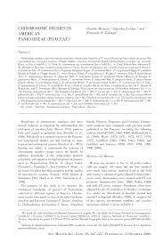 Image result for Panicum trichonode