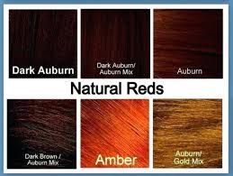 Auburn Hair Color Chart Ybll Org