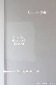 We painted the guest room intense white, which is the lighter color right next to gray owl on the paint strip. Behr Gray Owl Novocom Top
