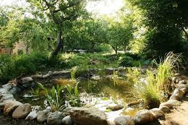 Maybe you would like to learn more about one of these? Small Pond Installations For Irrigation And Wildlife Part 2 Liners The Permaculture Research Institute