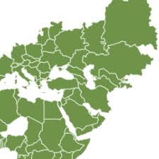 Image result for Gladiolus velutinus