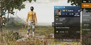 After playing at least 10 games and getting to the top 10 at most, i can tell you that it is not easy to win when playing solo so how can you access a squad game solo? My Random Team Mate Today Has All Hacks Possible And Yet Doesnt Get Banned And He Boasts About How He Sells The Unbannable Accounts The Game Is Becoming A Joke Day By