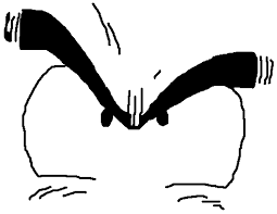 Krilin Wikipedia