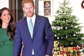 Check spelling or type a new query. Black Friday Christmas Tree Sale 50 Percent Off Xmas Trees Online Til Tomorrow Express Co Uk