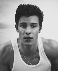 Shawn Mendes