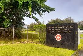 Siaosi (George) Liti