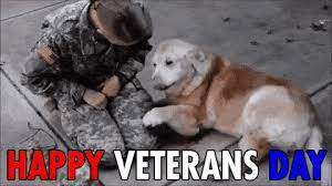 Happy Veterans Day Soliders Gif Veterans Day Happy Veterans Day Veterans Day Quotes Veterans Day Gif Happy Veterans Da Veterans Day Online Pet Supplies Veteran