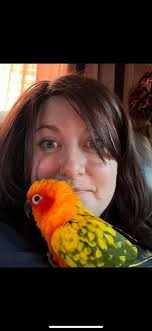 Are there any rehoming options in Orlando, Florida?