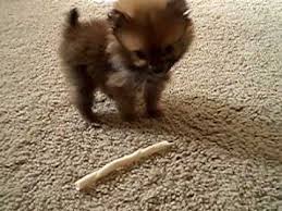 Donna Allender (donnaallender)