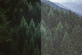 The disturbances are seen whether the person's eyes are open or closed and stay constant over time. Visual Snow Is Real Medpage Today