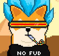 Crypto De Niche Les Nft Shiboshi Affolent La Communaute Shiba Inu Journal Du Coin