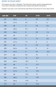 Hoka Shoe Sizing Chart Related Keywords Suggestions Hoka