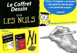 Amazon Fr Coffret Dessin Pour Les Nuls Hoddinott Brenda Livres